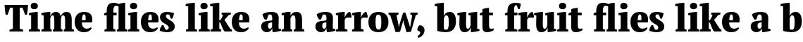 PT Serif Pro Narrow Extra Bold