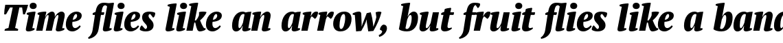 PT Serif Pro Narrow Extra Bold Italic