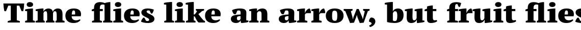 PT Serif Pro Extended Black