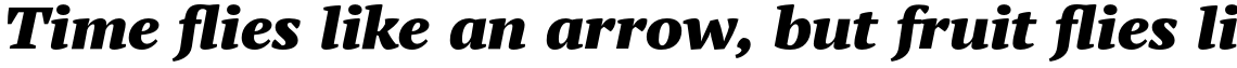 PT Serif Pro Extended Black Italic