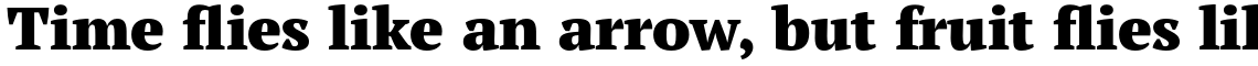 PT Serif Pro Black