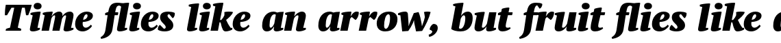 PT Serif Pro Black Italic