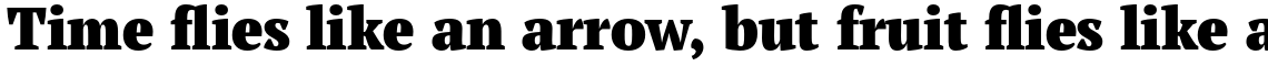 PT Serif Pro Narrow Black