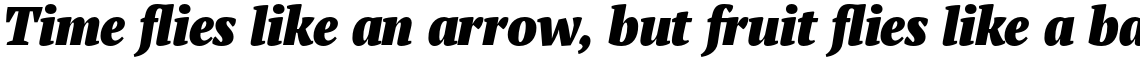 PT Serif Pro Narrow Black Italic