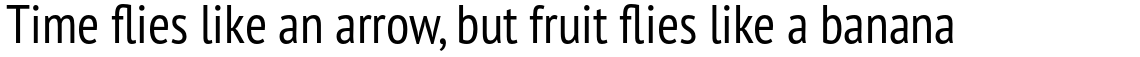 PT Sans Pro Narrow Regular