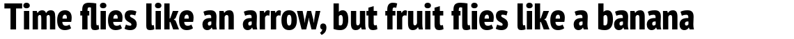 PT Sans Pro Narrow Extra Bold