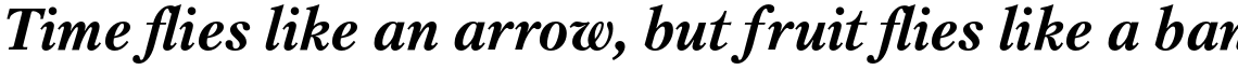 Petersburg Bold Italic