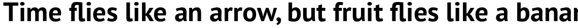 PT Sans Pro Bold