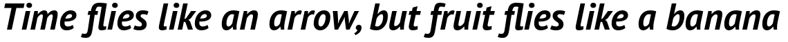 PT Sans Pro Bold Italic