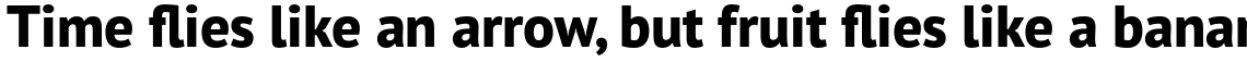 PT Sans Pro Extra Bold