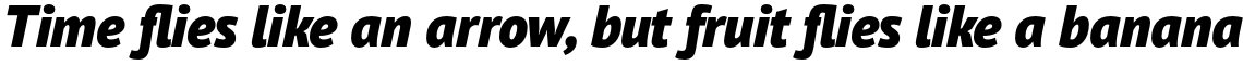 PT Sans Pro Black Italic