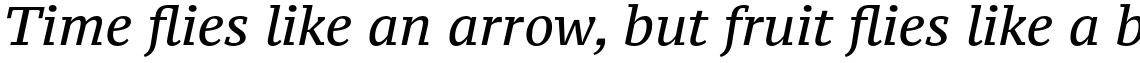 PT Serif Pro Caption Italic