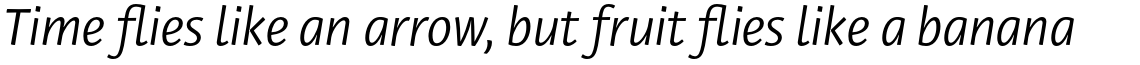 Private Sans Italic