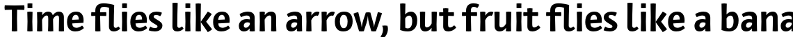 Private Sans Bold