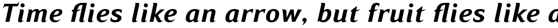 Ripe Apricot Bold Italic