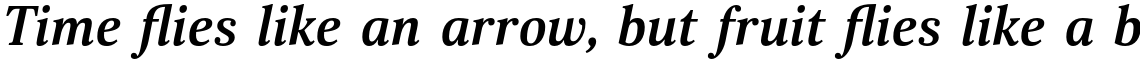 Scientia Bold Italic