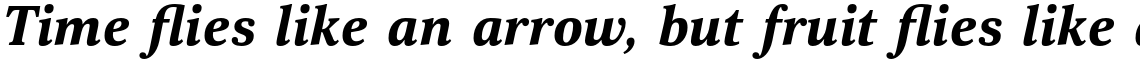 Scientia Black Italic