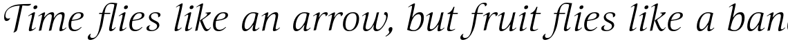 Selina Calligraphic