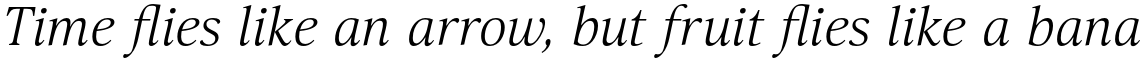 Selina Light Italic