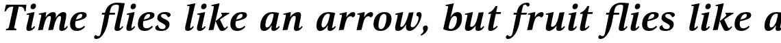 Selina Extended Bold Italic
