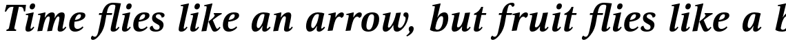 Selina Bold Italic