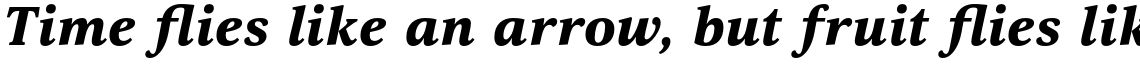 Selina Extended Black Italic