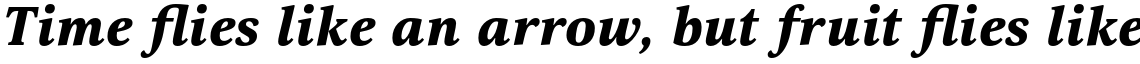 Selina Black Italic