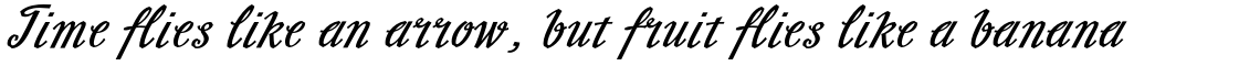 Slutsker Script Bold