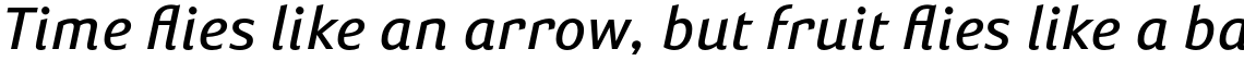 Susan Sans Book Italic