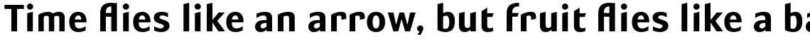 Susan Sans Bold