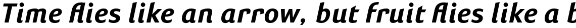 Susan Sans Bold Italic
