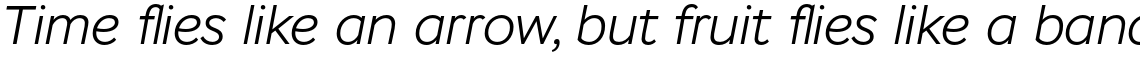 Stem Light Italic