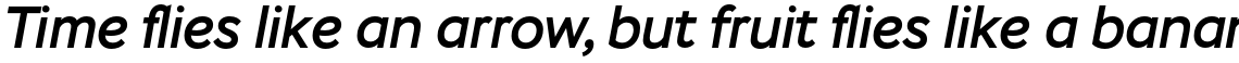 Stem Medium Italic