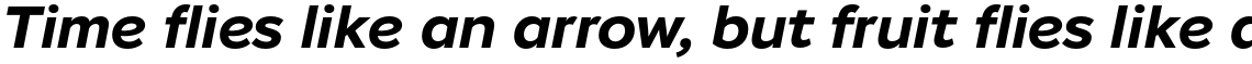 Stem Text Bold Italic