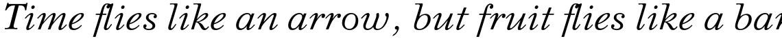 Svetlana Italic