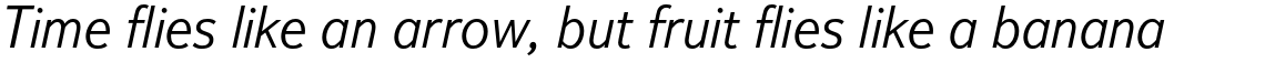 Textbook New Light Italic