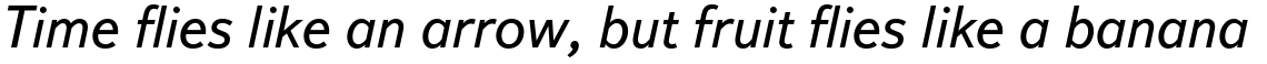 Textbook New Regular Italic