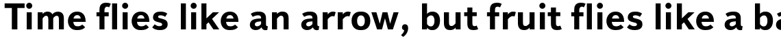 Textbook New Bold