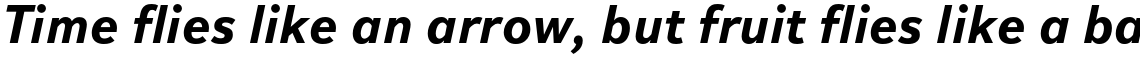 Textbook New Bold Italic