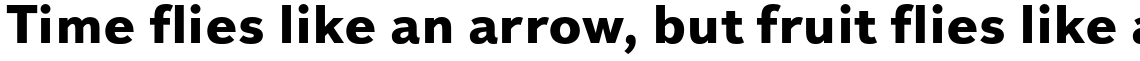 Textbook New ExtraBold