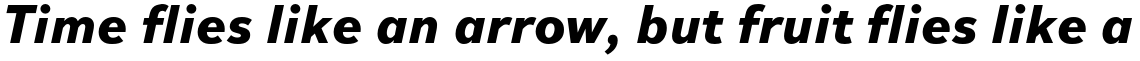 Textbook New ExtraBold Italic