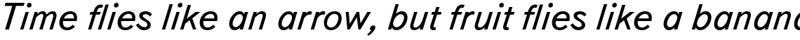 TextBook Italic