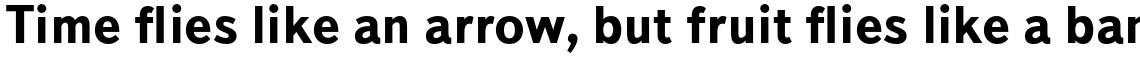 TextBook Bold