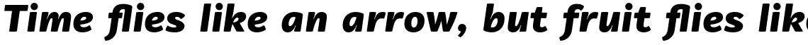 Vaccine Sans Black Italic