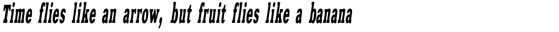 Xenia Western Bold Italic