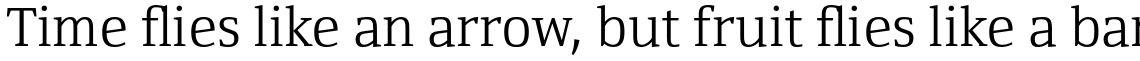 Yefimov Serif Light