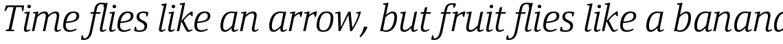 Yefimov Serif Light Italic