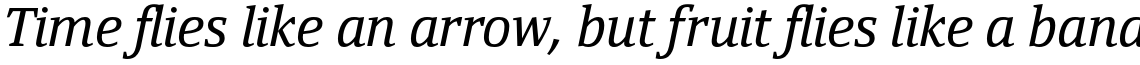 Yefimov Serif Italic
