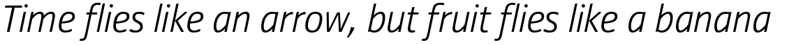 Yefimov Sans Light Italic