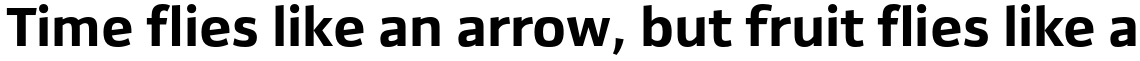 Yefimov Sans Bold